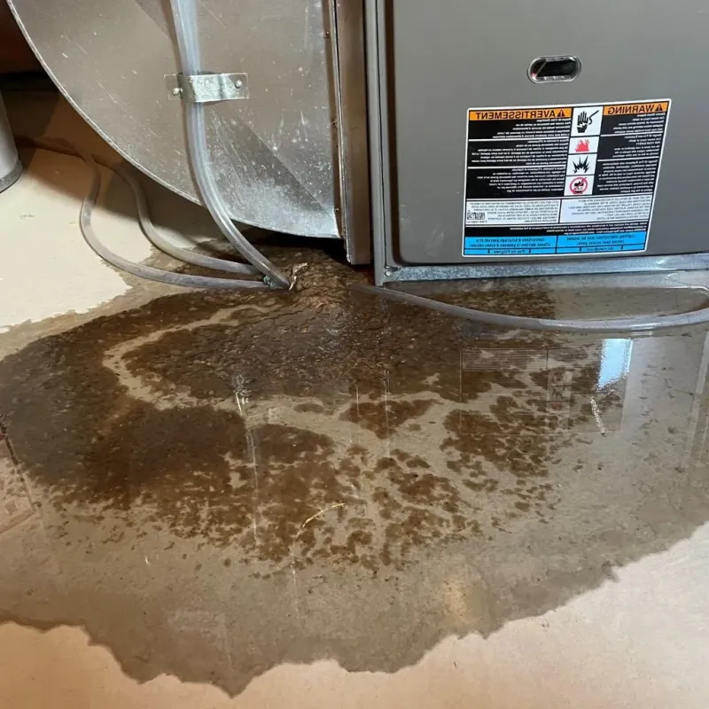 Pipe Burst and Leak Restoration in Catalina Foothills, AZ